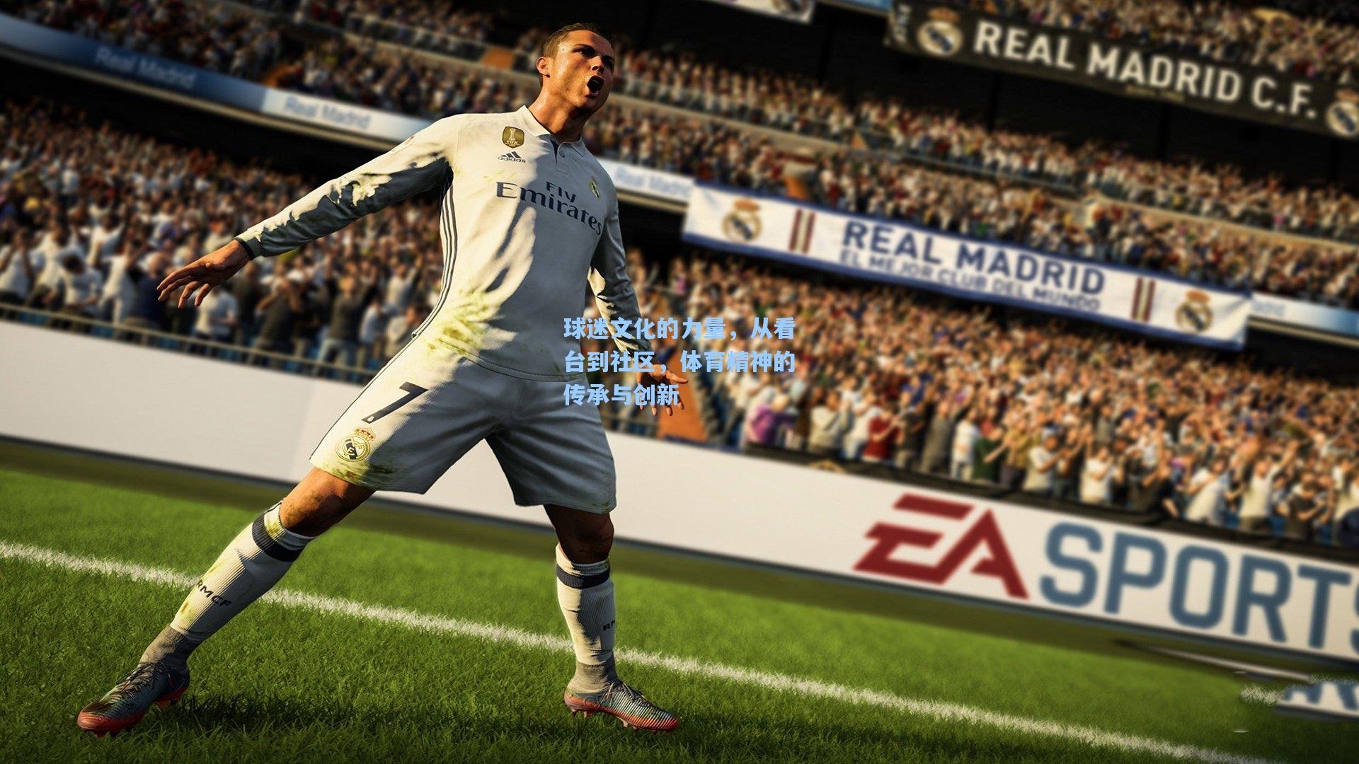 球迷文化的力量，从看台到社区，体育精神的传承与创新